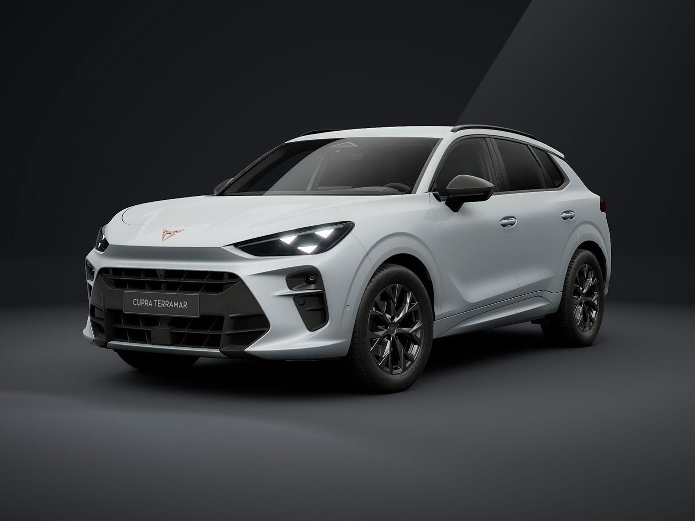 Cupra Terramar - Bild 2