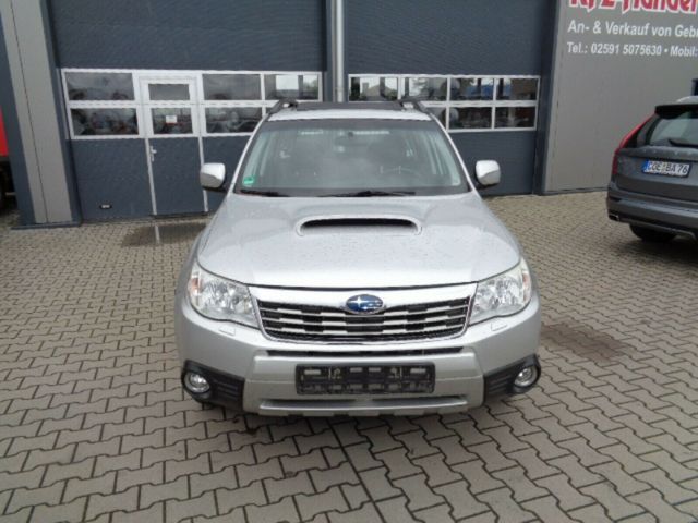 Subaru Forester Comfort Navi Kamera Xenon Panorama