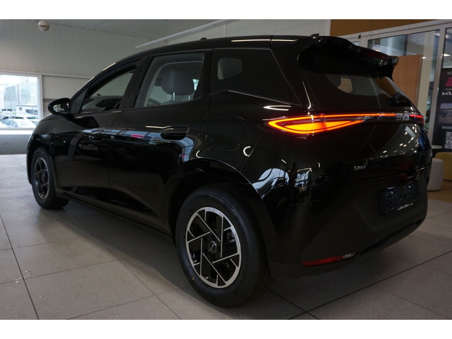 BYD DOLPHIN