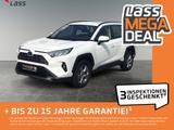 Toyota RAV4 2.5 Business Edition Kamera, Sitzheizung - Toyota RAV 4 Jahreswagen