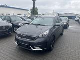 Kia Niro Vision 1.6 Hybrid Benzin, EU6, Automatik - Kia: Eu Auto