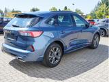 Ford KUGA ST-LINE 1.5T SYNC PDC SHZ KAMERA NAVI AHK - Ford Kuga in Halle