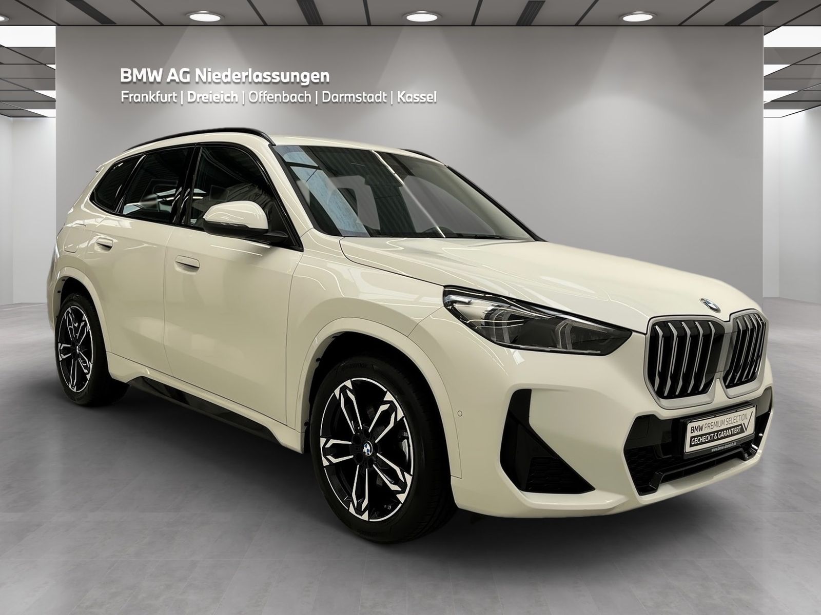 BMW X1 sDrive20i M Sport Driv.Assist Harman K LED foto 3