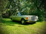 Mercedes-Benz 230E  W123  Rostfreier Sammlerzustand (Note 2+) - Mercedes-Benz S123