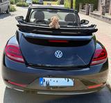Volkswagen Beetle 1.4 TSI BMT SOUND Cabriolet SOUND - gebrauchte VW Beetle aus dem Jahr 2017