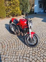 Ducati Monster 821 - DUCATI MONSTER 821