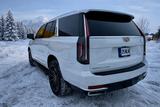 Cadillac Escalade 6.2 V8 Luxury  - Cadillac Escalade: Luxury