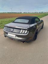 Ford Mustang 5.0 Ti-VCT V8 GT auto GT - Ford Mustang Gebrauchtwagen in Köln