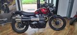 Triumph Street Scrambler 900 - Triumph Motorräder in Berlin