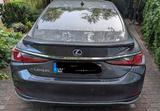 Lexus ES 300 300h Business Line Automatik Business...R - Lexus ES 300 aus 2022