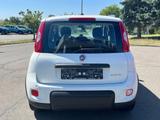 Fiat Panda 1.0 Hybrid City Life - Fiat Panda in Chemnitz