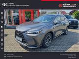 Lexus NX 350h Executive Line+HUD+PANO+LEDER+1.HAND - Lexus NX 350h mit Schiebedach