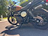 Triumph Scrambler 900 - Triumph Motorräder in Bonn