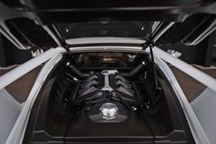 FORD GT Heritage Edition - Full Carbon Package - DE