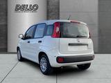 Fiat Panda Gewerbeleasing Klimaanlage Parkpilot ZV - Fiat Panda Neuwagen
