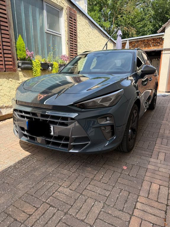 Image of Cupra Terramar