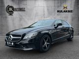 Mercedes-Benz CLS 250 BlueTec *NAVI*PDC*SHZ*TEMP*ASSISST*KEYL. - Mercedes-Benz CLS 250: Coupé