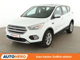 Ford Kuga 1.5 EcoBoost Titanium Aut.*NAVI*PDC*SHZ* - Ford Kuga: Titanium