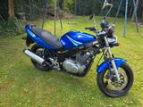 Suzuki GSE 500 *TÜV neu* - Offers matching your search criteria