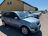 Ford Fusion 1,4 16V - graue Ford Fusion
