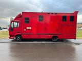Iveco Pferdetransporter | 58.492 km | Wohnkabine etc. - Tier-/Pferdetransport 4 pferde