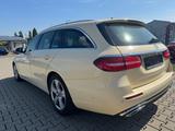 Mercedes-Benz Mercedes E220 d T Taxi Avantgard Motor  167800km - Mercedes-Benz E 220: Beige