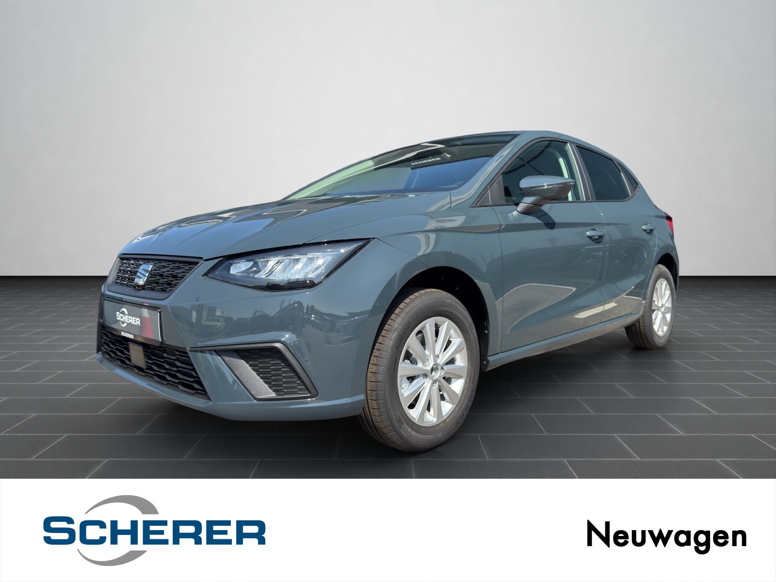 Seat Ibiza Style