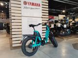 Yamaha Booster Pedelec - Pedelec E-Bikes
