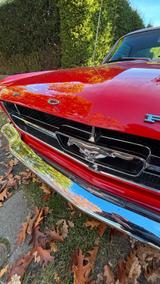 Ford Mustang Coupé Oldtimer - Ford Mustang: Old