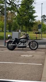 Harley-Davidson Sportster 1200 R - Angebote