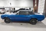 Ford Mustang 1967 Convertible - gebrauchte Ford Mustang aus dem Jahr 1967
