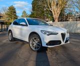 Alfa Romeo Stelvio 2.0 Turbo 280 PS | Q4 Veloce | AHK | SH  - Alfa Romeo aus 2018