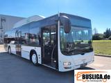 MAN Lion´s City A21 NL 313 CNG - Angebote