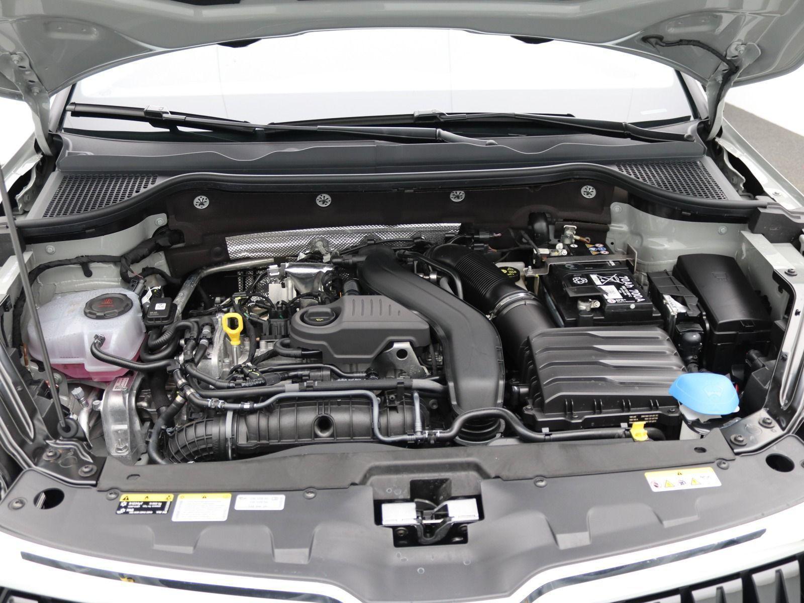 Skoda Karoq Tour 1.5 TSI DSG / Matrix, Navi, AHK, RFK