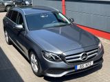 Mercedes-Benz E 220CDI  T MODELL KLIMA NAVI LED ALU´S SHZ LED - Cars in Bochum
