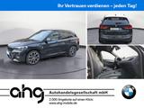 BMW X1 xDrive25e M Sport Steptronic Aut. Klimaaut. - BMW X1: Standheizung