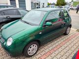 Volkswagen Lupo 1.4 Comfortline Comfortline - Volkswagen Lupo: Comfortline