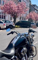 Harley-Davidson Road King Classic - HARLEY-DAVIDSON 2009 ROAD KING