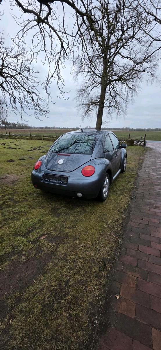 Volkswagen New Beetle