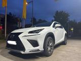 Lexus NX 300h Hybrid E-FOUR F SPORT Premium - Lexus: Sport