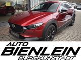 Mazda CX-30 2.5 140ps 6AG Nagisa Bose Voll-LED Navi uv - Mazda: V6