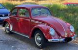 Volkswagen VW Käfer Dickholmer 1964 mit H-Zulassungen - Volkswagen Käfer in Köln