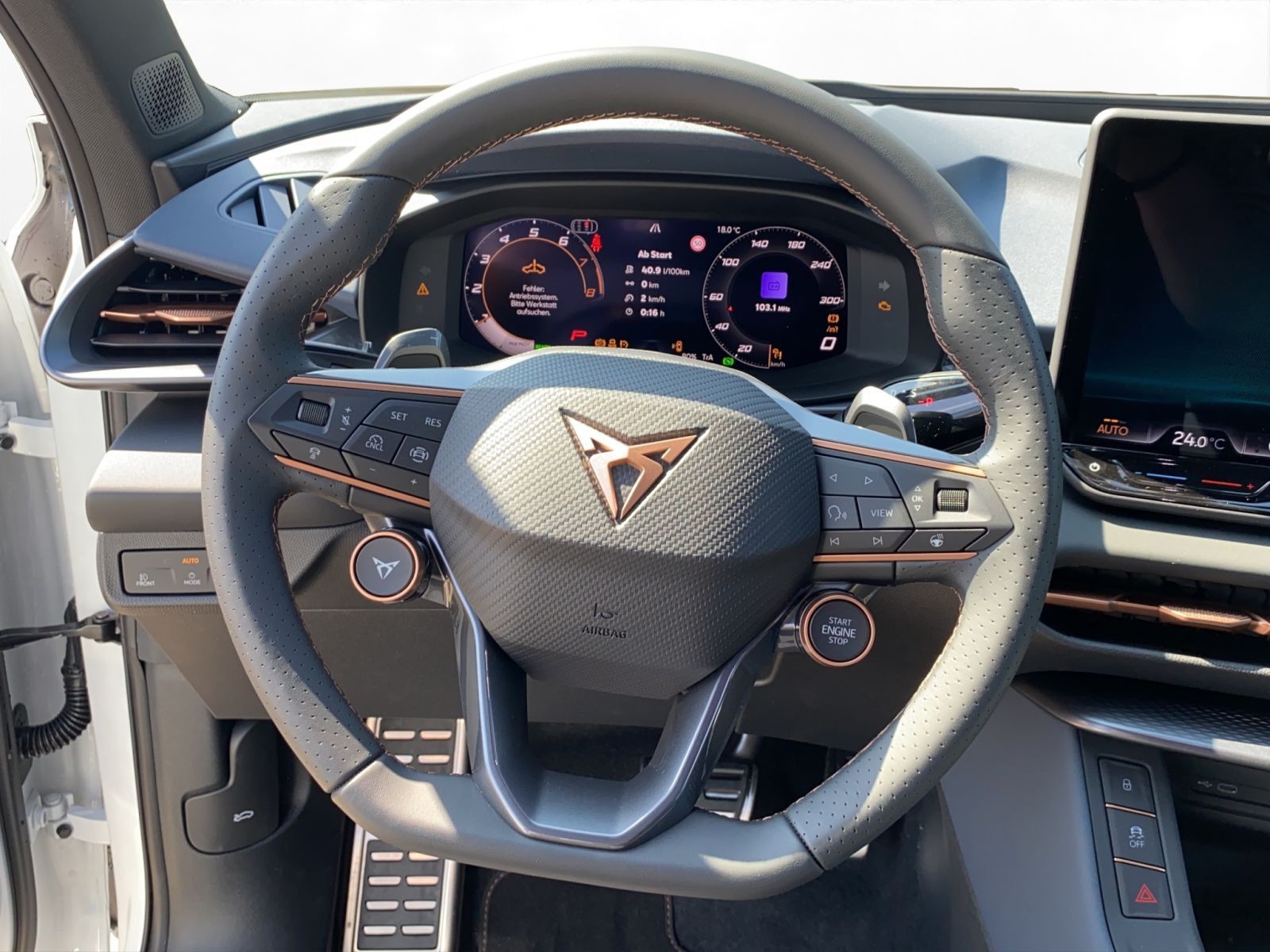 Cupra Terramar - Bild 10