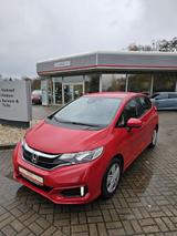 Honda Jazz 1.3 i-VTEC Comfort - Honda Jazz: Rot