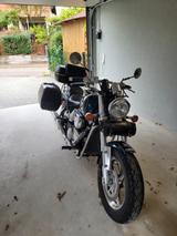 Suzuki Marauder 800 - SUZUKI MARAUDER 800