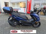 Honda FORZA 125 NSS125 TOP Zustand! inkl. 1. Service - HONDA FORZA 125