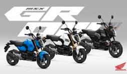 Honda MSX 125 Grom *WEIß und BLAU auf Lager*