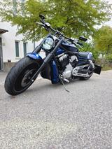Harley-Davidson Harley davidson V-Rod  - 2002 V ROD