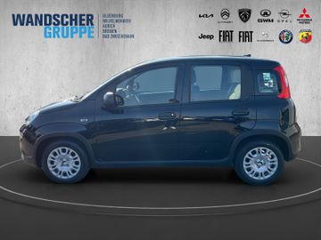 Fiat Panda 1.0 Mild Hybrid MY24 PDC TEMPOMAT SPURHALT