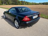 Mercedes-Benz SLK 32 AMG AMG - Mercedes-Benz SLK 32 AMG mit Benzin-Antrieb